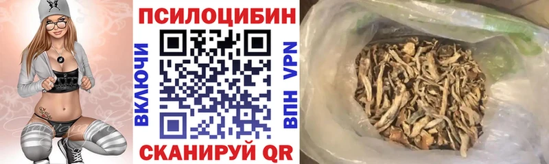 Псилоцибиновые грибы GOLDEN TEACHER  закладки  Можайск 
