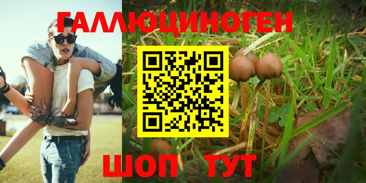 Галлюциногенные грибы GOLDEN TEACHER  Псилоцибиновые грибы мухоморы  где найти   Можайск  Вход с VPN 